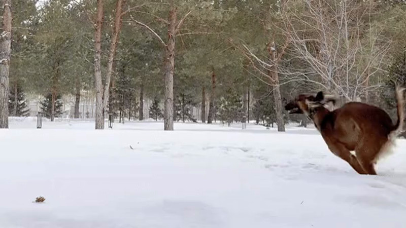 Кадры из видео