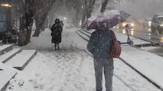 Массовое отключение электричества происходит из-за снегопада в Алматинской области