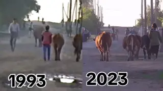 В селе СКО, "застрявшем в прошлом", приняли неожиданное решение