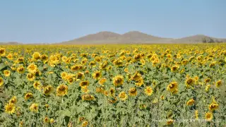 Лето "с сюрпризом" прогнозируют казахстанцам синоптики