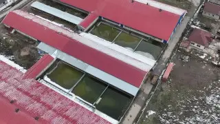 В Алматинской области ребенок утонул в резервуаре на ферме, где производят козье молоко