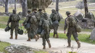 В Испании и Италии сделали заявления об отправке западных войск в Украину