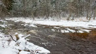 От минус 18 до плюс 21 градуса: погода в Казахстане на сегодня, 19 марта