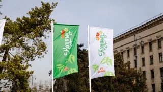 Сколько средств из бюджета потратили на празднование Наурыза