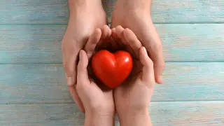 "Какая-то регистрация должна быть": глава Минфина о переводах на благотворительность