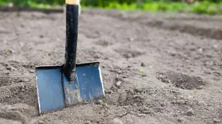 Казахстанцам грозит крупный штраф за похороны кошек и собак