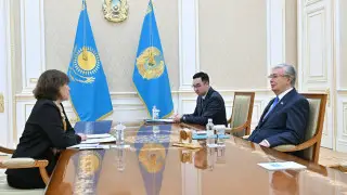 "Трудолюбие и профессионализм" - Президент обсудил с экспертом ценности казахстанцев