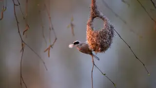 Сильные дожди и 25 градусов тепла: погода в Казахстане на сегодня, 27 марта