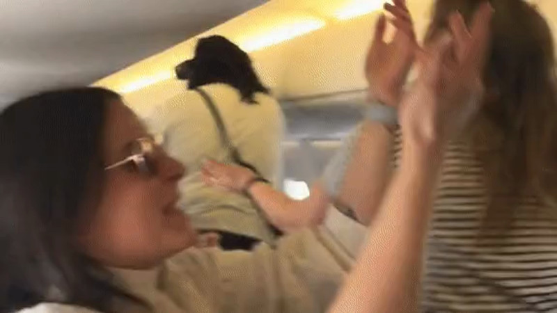 Кадры из видео