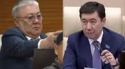 “Еще раз повторяю“. Спикер Мажилиса сделал замечание депутату
