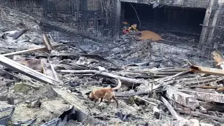 Теракт в "Крокус сити холле": какие меры принимает МВД Казахстана