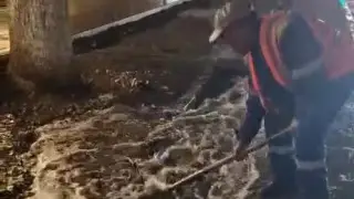 Буря и ливень в Алматы: куда обращаться за помощью