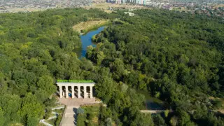Восемь тысяч деревьев высохли в дендропарке Шымкента