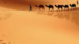 Песчаная пыль из Сахары накрыла Германию, Францию и Швейцарию