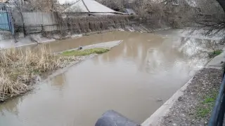 Су тасқыны кезінде қандай сақтық шараларын жасау керек?