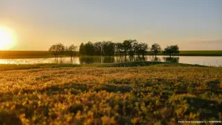 Жарче, чем обычно: прогноз погоды на лето уточнили синоптики