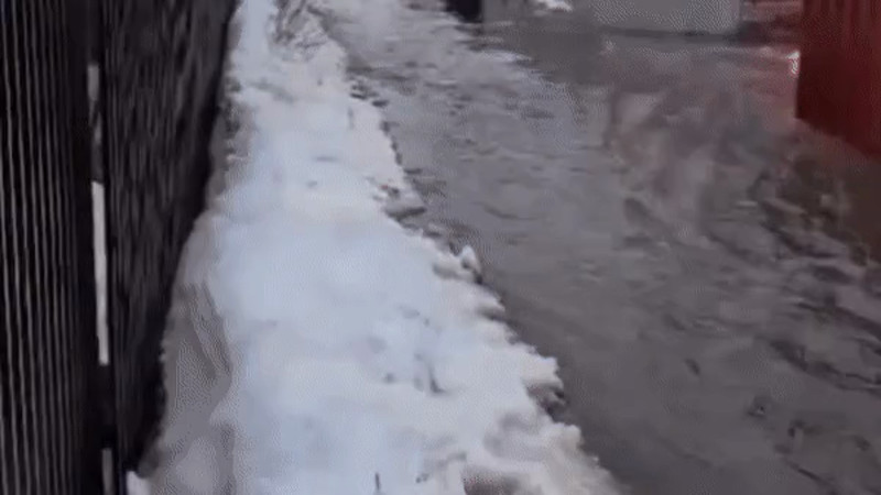 Кадры из видео