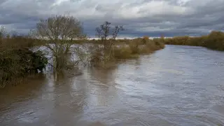 Еще один ребенок утонул в талой воде в Актюбинской области