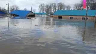 "Көз алдымызда бәрі ағып кетті". Баласына су тасқыны туралы хат жазған аудио иесі сұхбат берді