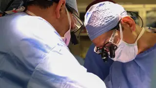 Мужчину со свиной почкой выписали из больницы