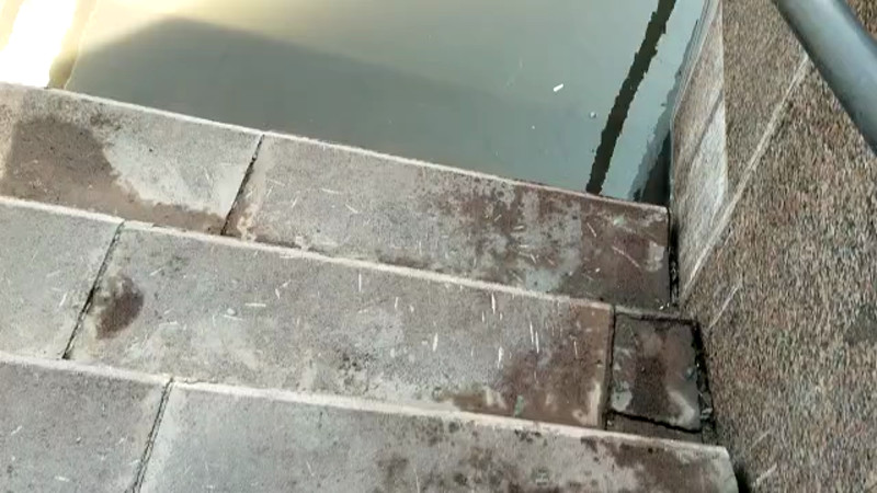 Кадры из видео