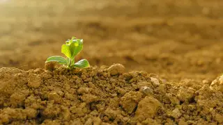 В акимате прокомментировали проблему с водой на юге Казахстана