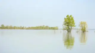 20 населенных пунктов могут оказаться под водой в Оренбургской области