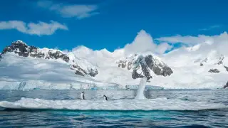 Ученые назвали место с самым чистым воздухом на Земле