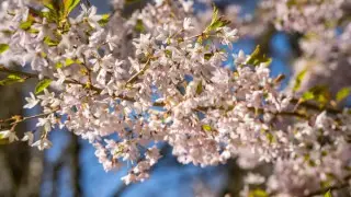 Чем запомнился март в Казахстане, рассказали синоптики