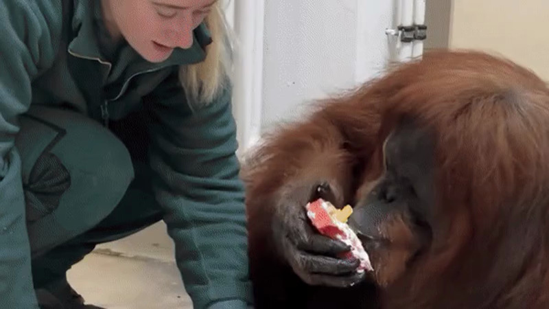 Кадры из видео