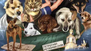 Потерялись в паводки: художница из Петропавловска нашла способ вернуть питомцев