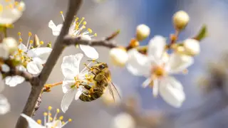 Похолодание до 3 мороза и грозы: погода в Казахстане на сегодня, 23 апреля
