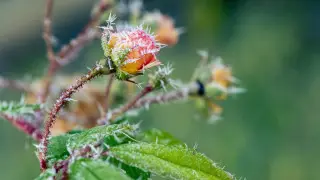 Морозы до 9 градусов и грозы: погода в Казахстане на 25 апреля