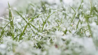 Снег и морозы до 8 градусов ожидаются в Казахстане