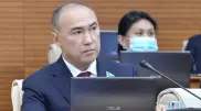 Токаев сменил уполномоченного по защите прав предпринимателей