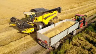 Затопленные поля: угрожают ли паводки будущему урожаю?