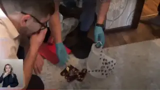 Представлялись полицейскими: рэкетиров задержали в Шымкенте