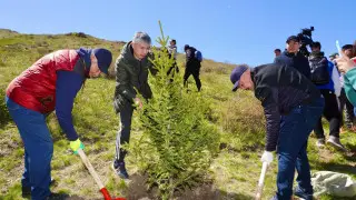 Акция "Жасыл аймақ": в Восточном Казахстане высадят 123 тысячи саженцев
