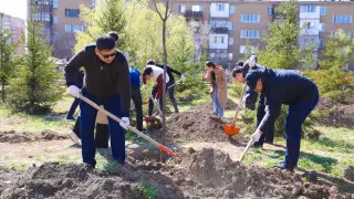 Новые аллеи и скверы: представители посольств участвуют в масштабной экоакции в Астане