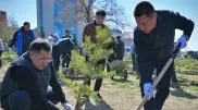 Павлодарцы поддержали экоинициативу Президента