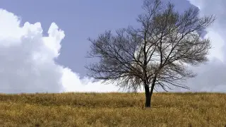 Из-за высокой пожарной опасности в семи областях объявили штормовое предупреждение