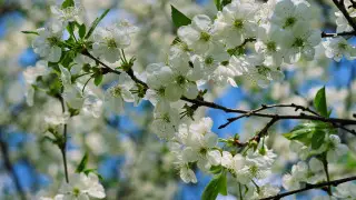 Снова дожди и похолодание: атмосферный фронт надвигается на Казахстан