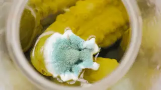 Что будет, если съесть продукты с плесенью