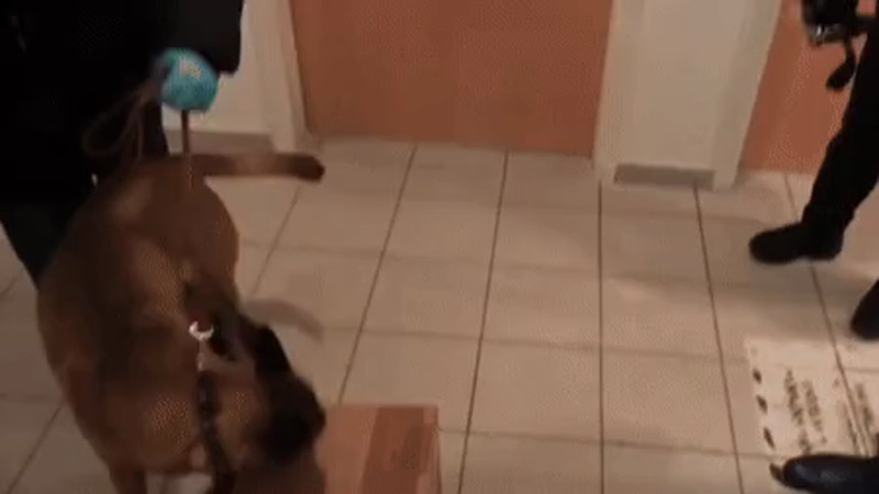 Кадры из видео