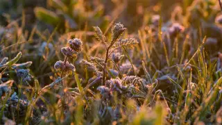 Синоптики предупредили жителей 9 регионов