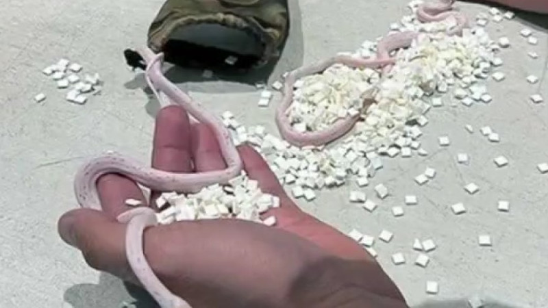 Кадр из видео cbsnews.com