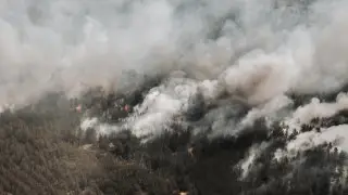 “Не хочешь осознавать, что все, конец“ - жена погибшего в области Абай пожарного выступила в суде