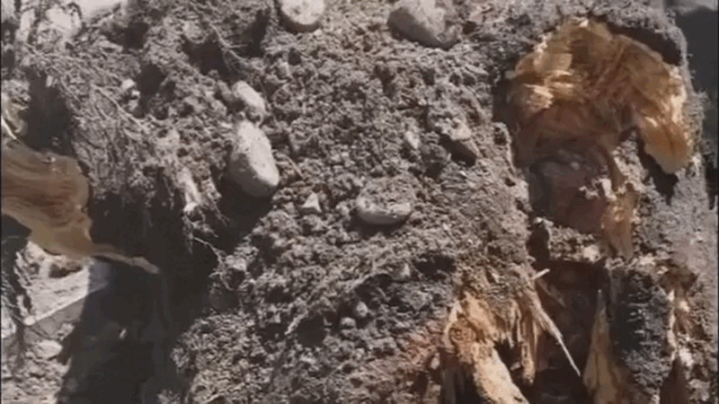 Кадры из видео