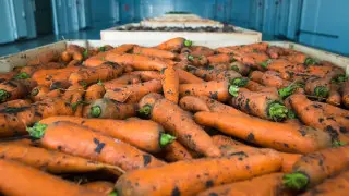 В хранилищах после паводков гниют продукты? Ответ министра