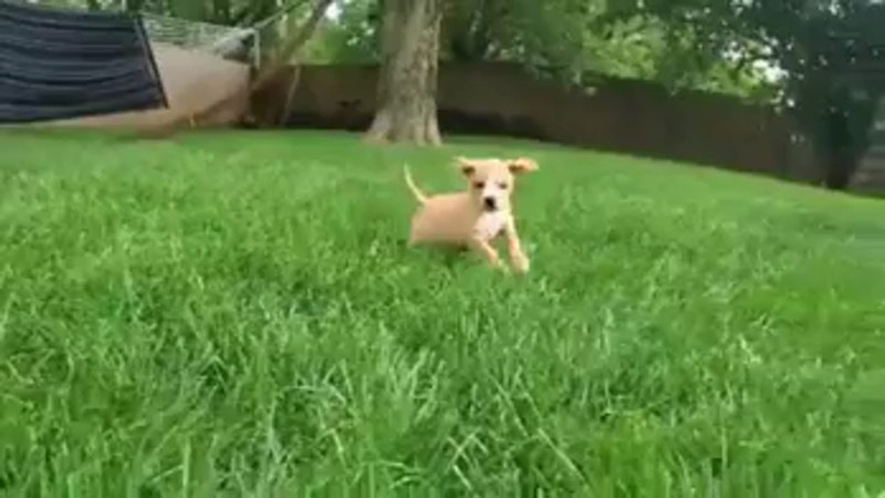 Кадры из видео